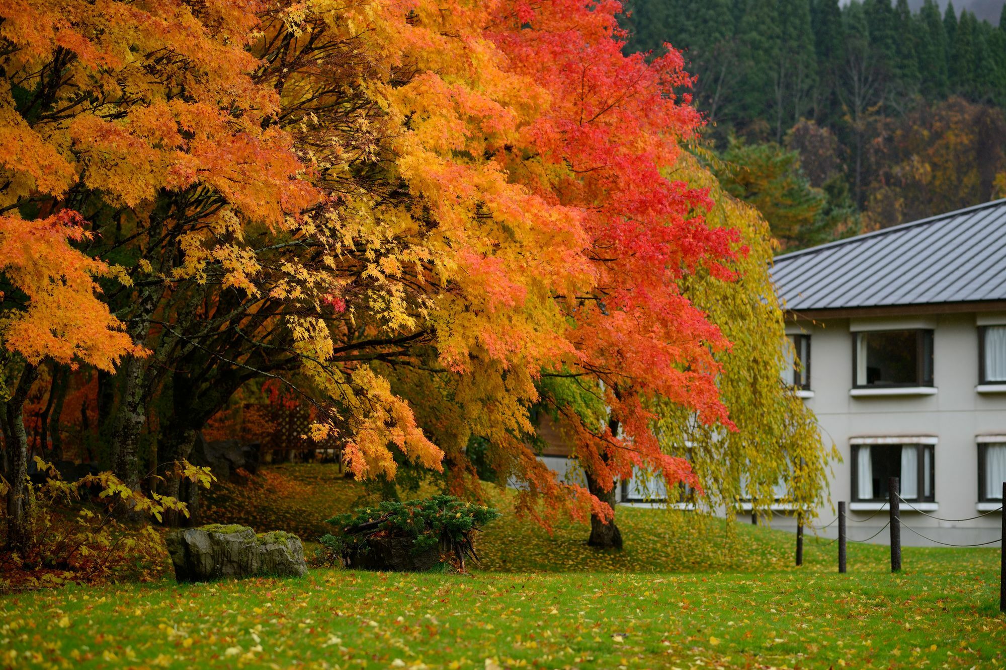 Towada Prince Hotel Kosaka Luaran gambar